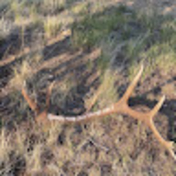 Meet your Posher, Reema - Picture 1 of 1